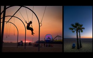 Sunset Swing and Palm.jpg